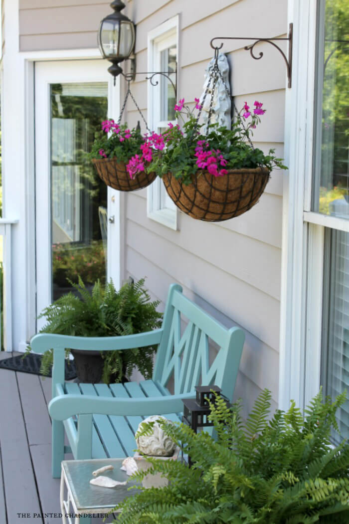 Elegant Potted Ferns and Classic Hanging Baskets