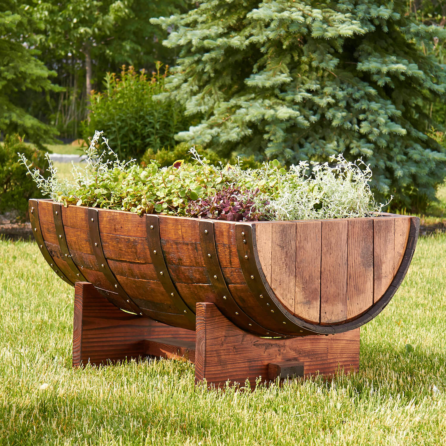 Wine barrel for plants