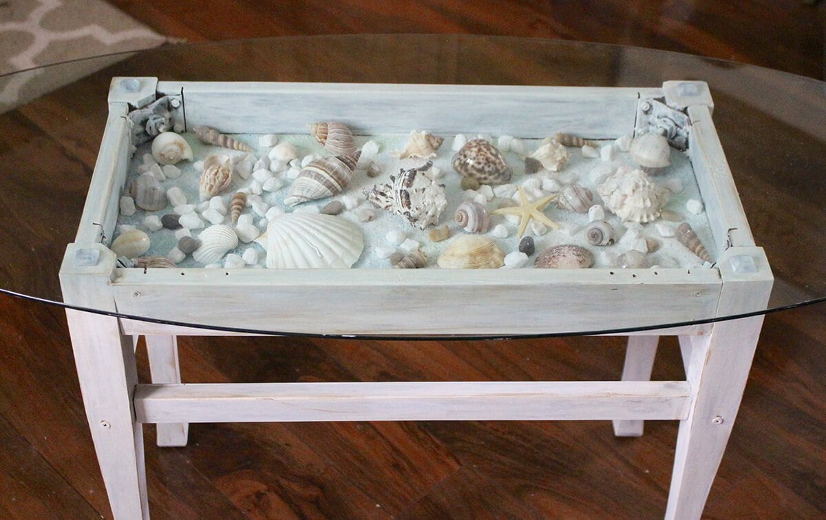 Bed of Seashells in a Coffee Table