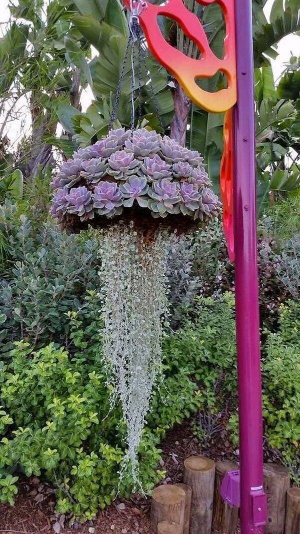 Creative "Jellyfish" Succulent Hanging Basket
