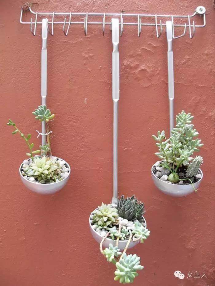 DIY Kitchen Utensil Wall Planter for Succulents