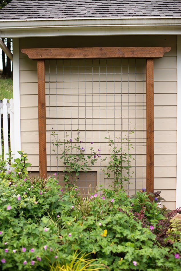 24 Best DIY Garden Trellis Projects (Ideas and Designs ...