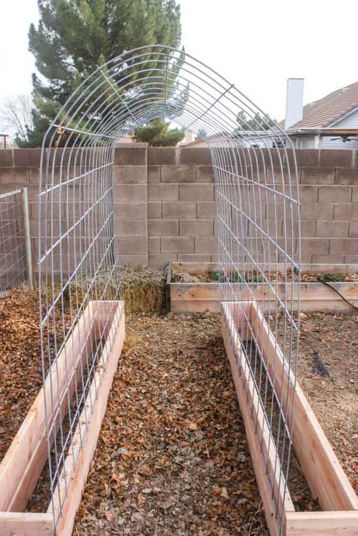 vegetable garden arch trellis