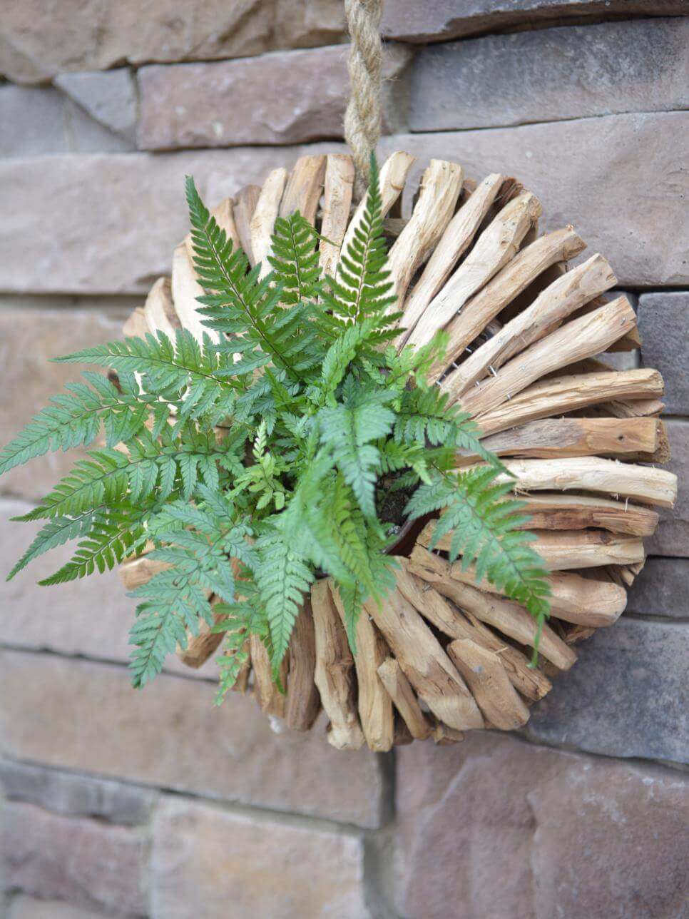 Striking Circular Wooden Fern Planter Homebnc