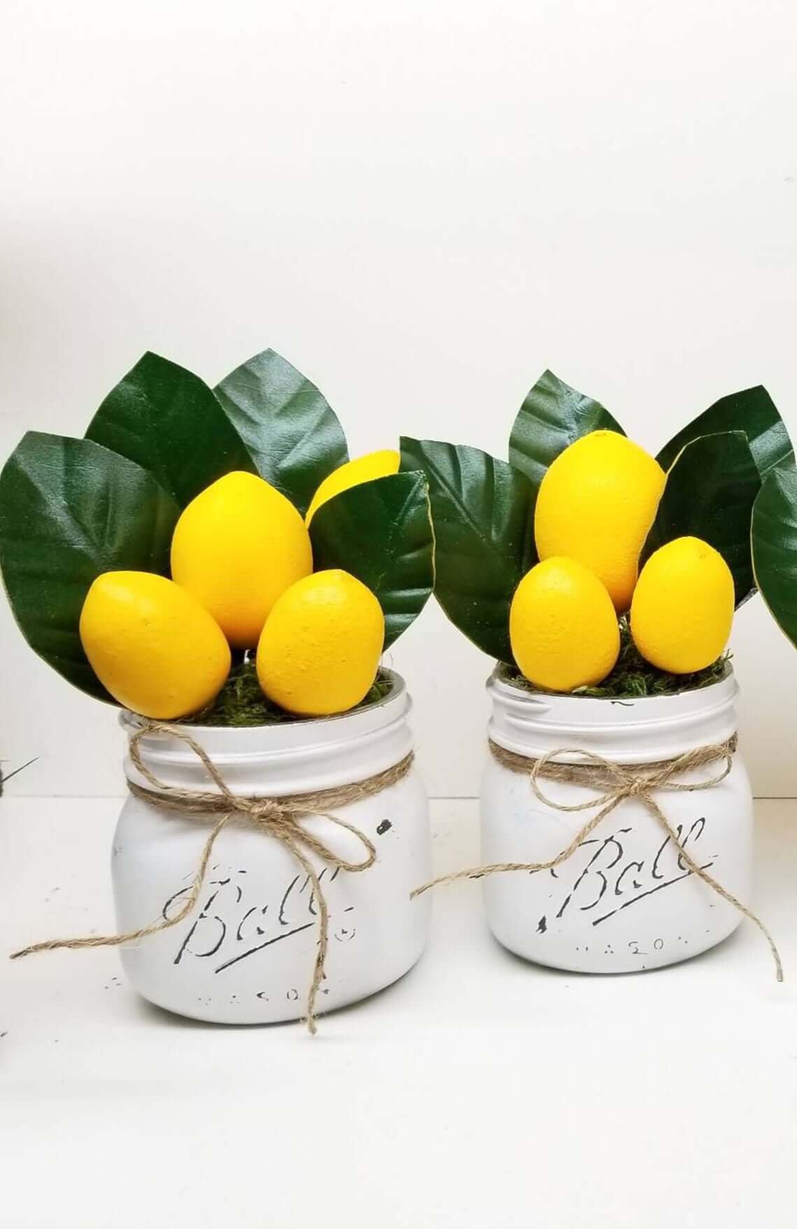 Decoración de tarros de limón de granja linda
