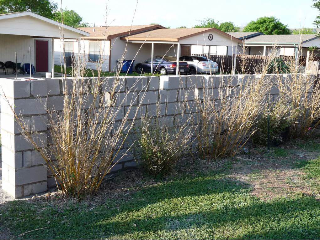 DIY Reinforced Concrete Block Wall