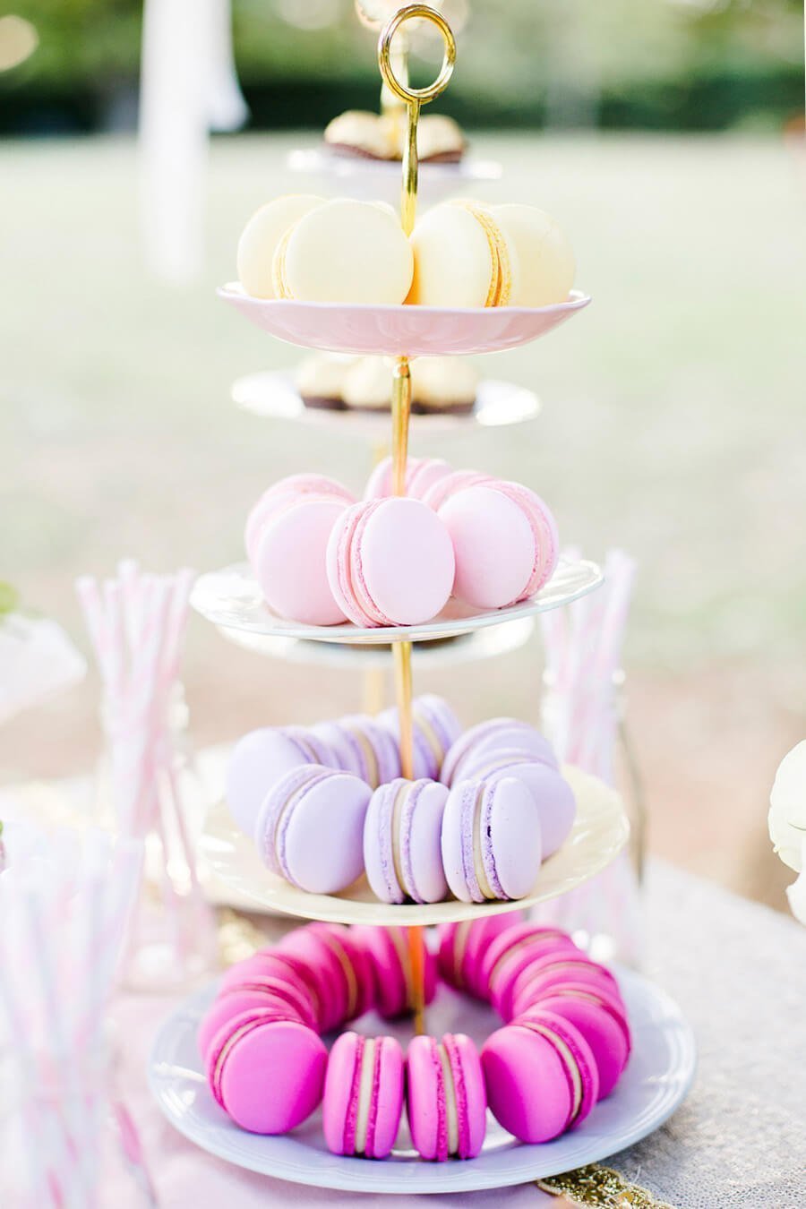 Delicadas Camadas de Chapa com Macarons Tabela Decoração