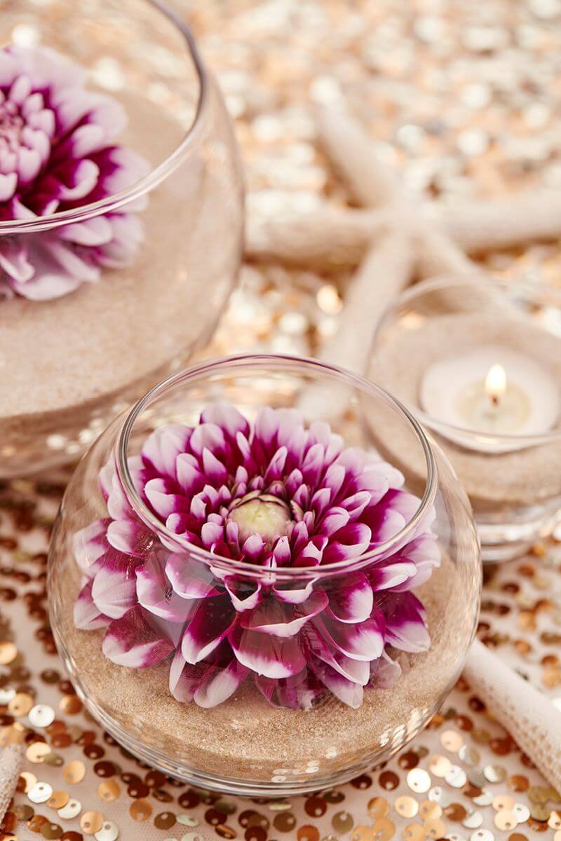 Bols de Fleurs de Dahlia Parfaitement équilibrés avec du Sable