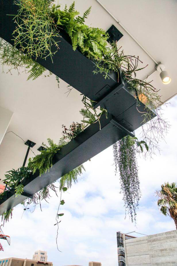 Dramatic Urban Outdoor Hanging Garden