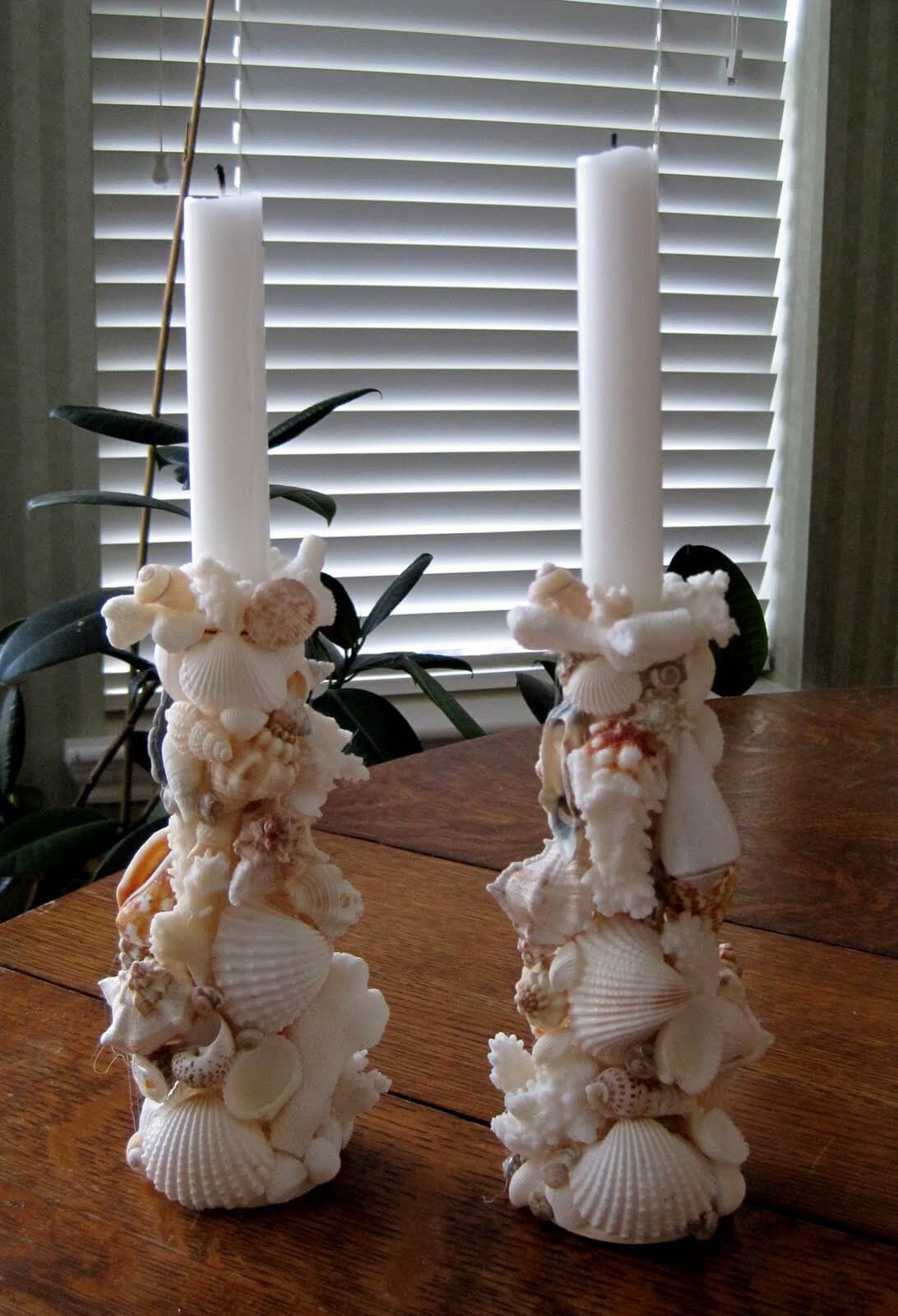 A Candelabra of Small Shells