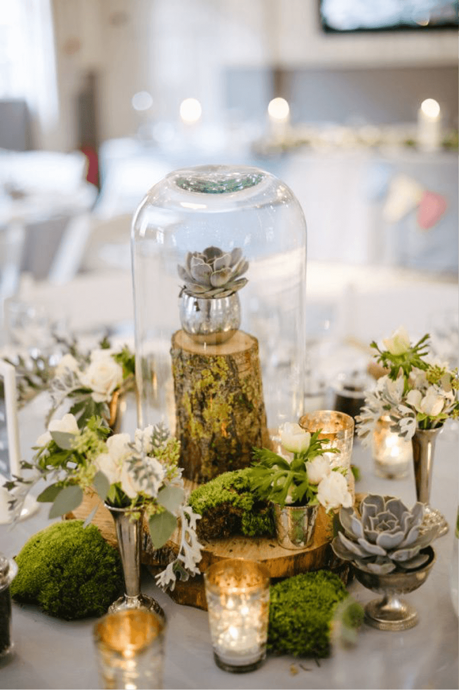 Woodland Inspired Miniature maljakoita and Domed mehikasveja Table Decor