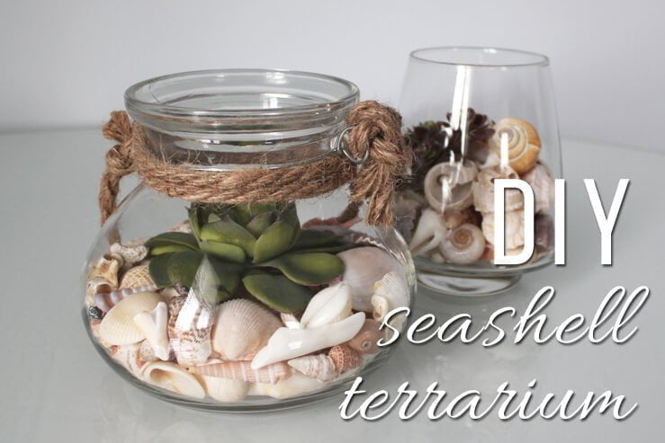 A Small Seashell Terrarium Centerpiece