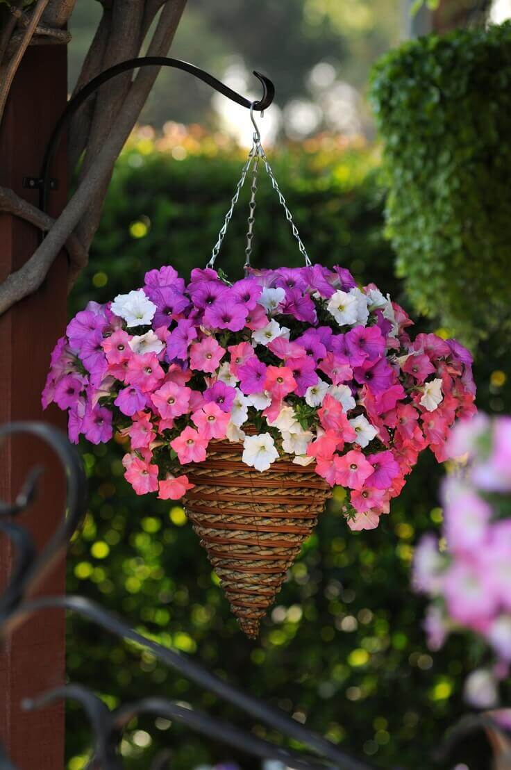 Pretty Cone Shaped Petunia Planter