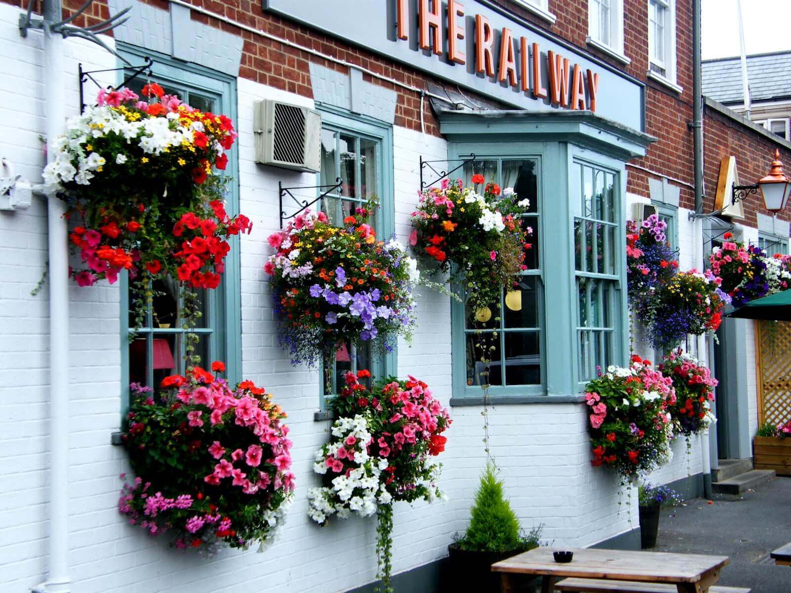 Cafe-Style Planters and Window Boxes