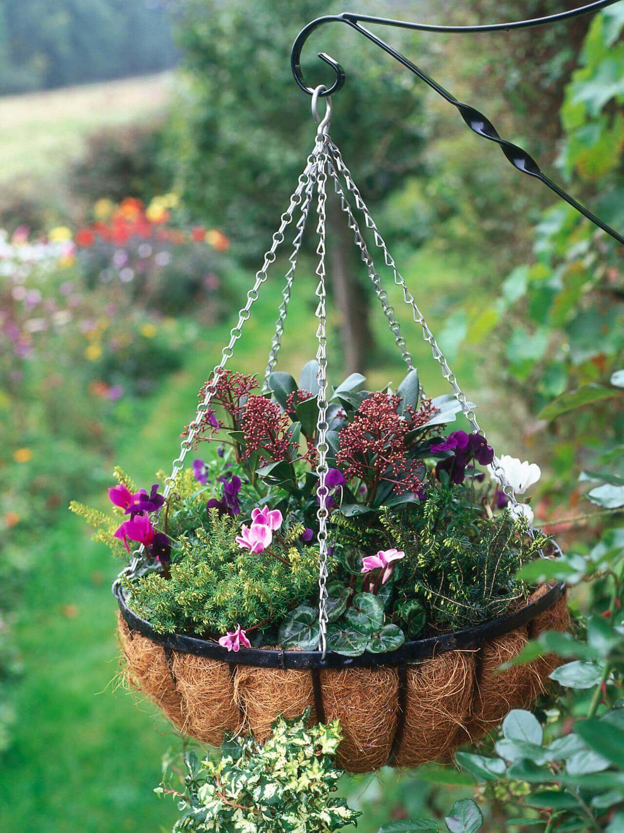 Elegant Seasonal Outdoor Hanging Basket