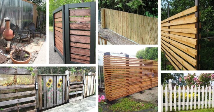 Featured image for 24 Unique Do it Yourself Fences That Will Define Your Yard