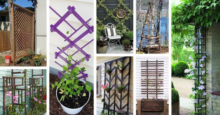 Featured image for 24 Easy DIY Garden Trellis Projects You Can Do This Weekend