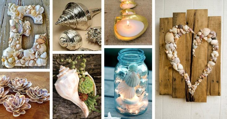 Featured image for 35+ Adorable DIY Shell Projects for Beach Inspired Decor