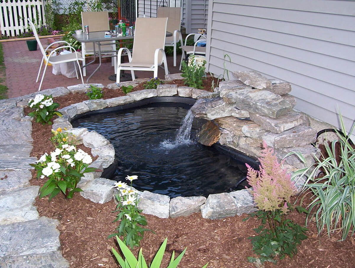Ponds In Backyard The Backyard Gallery