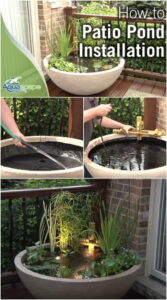 18 Best DIY Backyard Pond Ideas And Designs For 2024