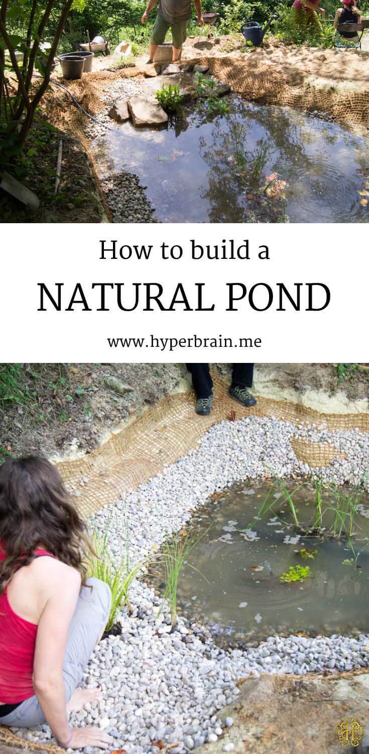 Ecological DIY Linerless Natural Pond