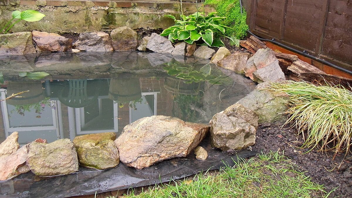 pond decorating ideas