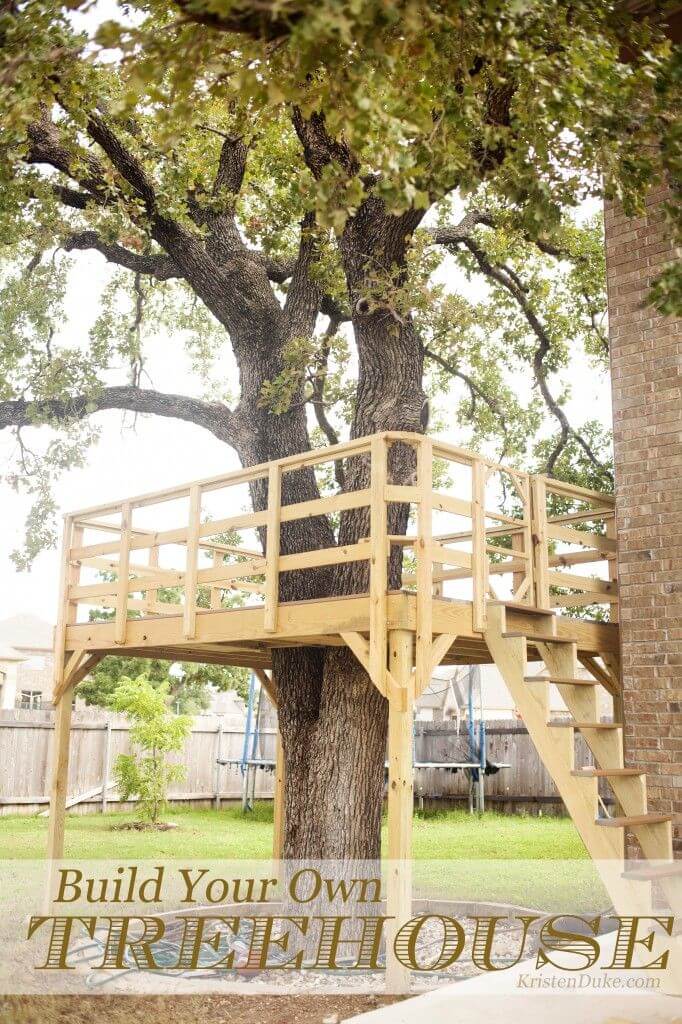 A Treehouse with Easy to Climb Stairs