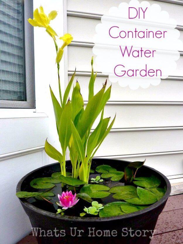 Tiny DIY Container Water Garden