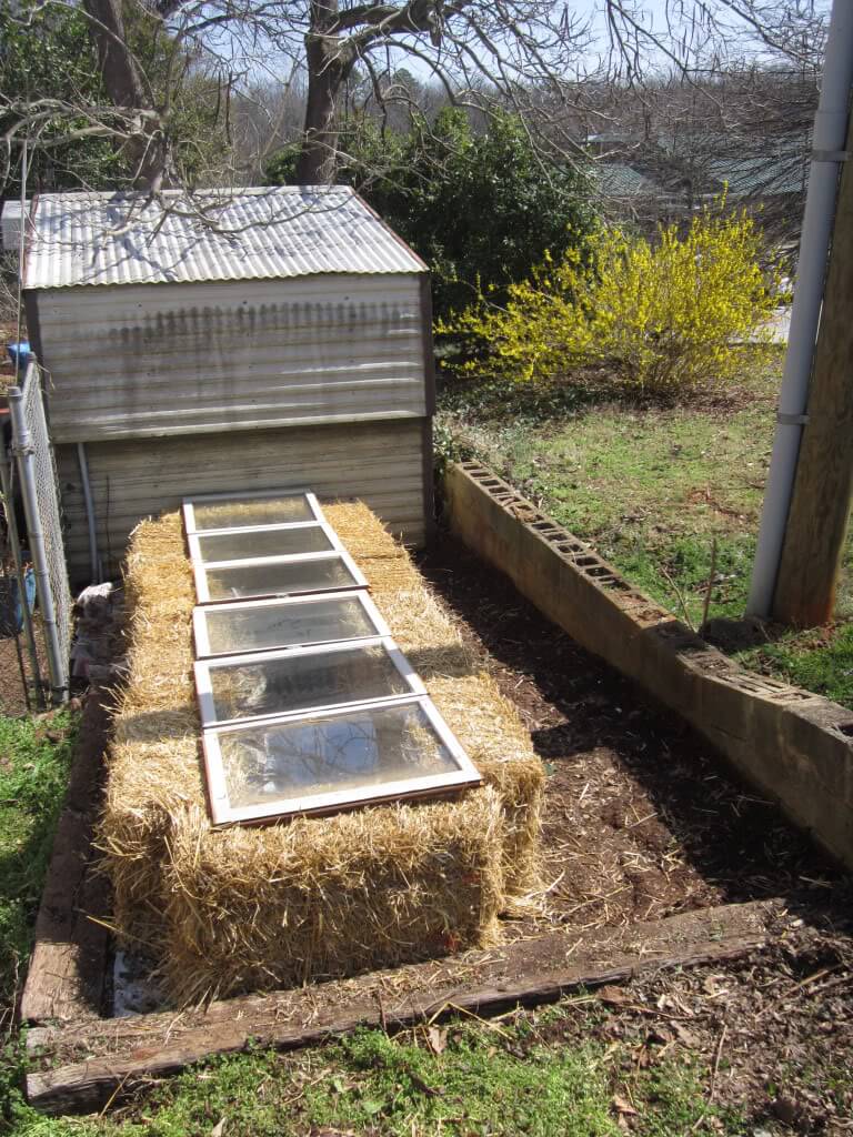 Gardening Warmth in the Hay Bales