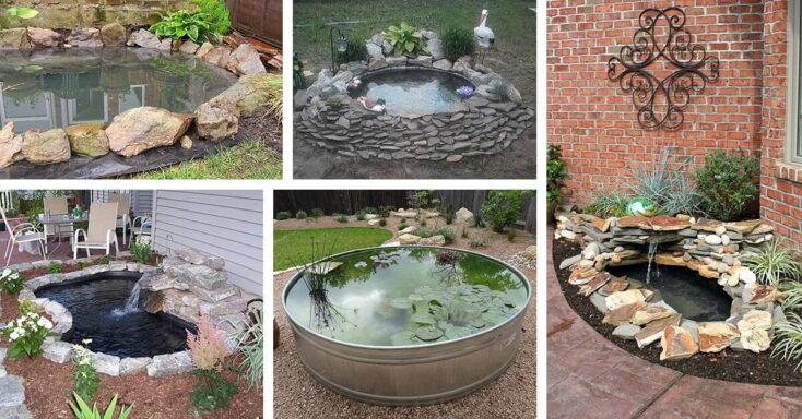Featured image for 18 Attractive DIY Backyard Pond Ideas for Your Garden