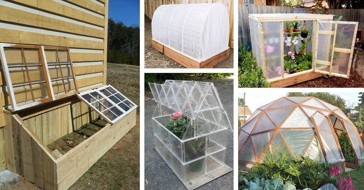 Featured image for “25 Amazing DIY Green House Ideas that are Easy to Create”