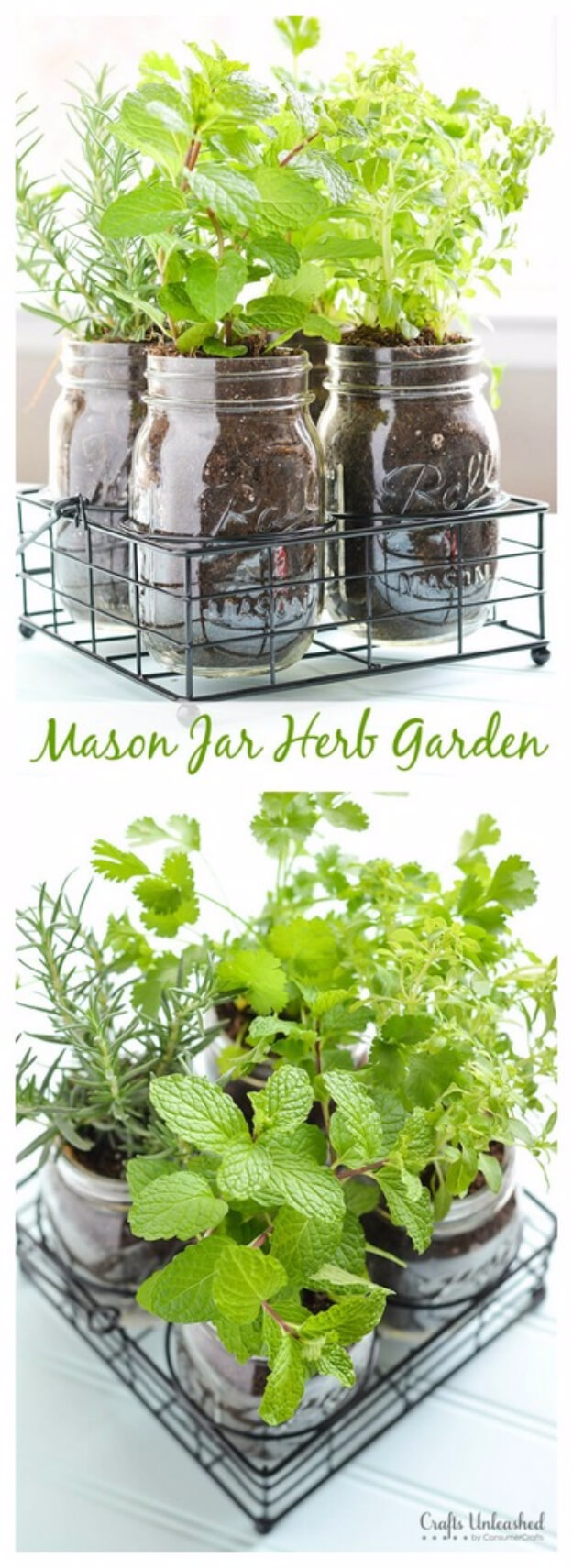 25 Best Herb Garden Ideas And Designs For 2018