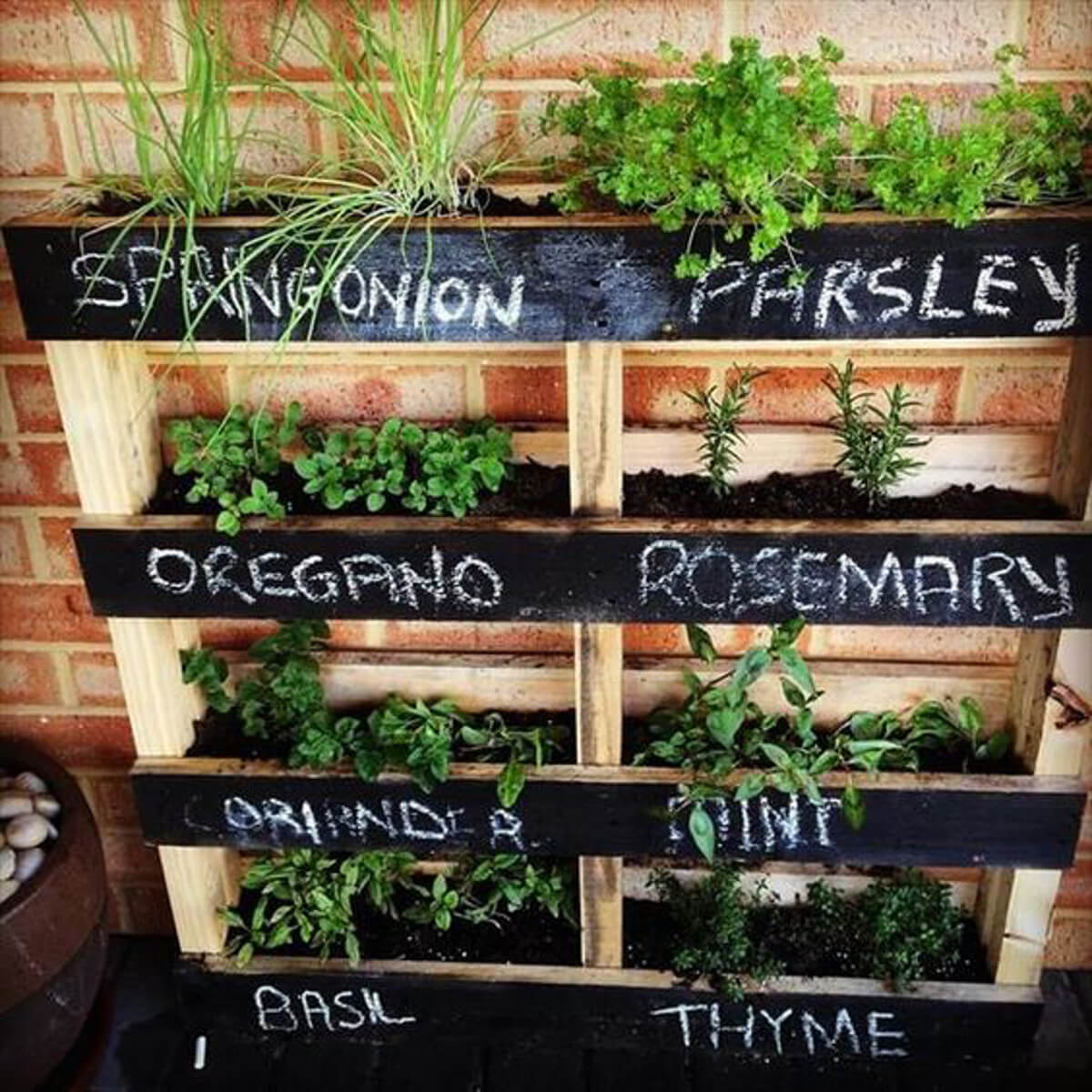 25 Best Herb Garden Ideas And Designs For 2020