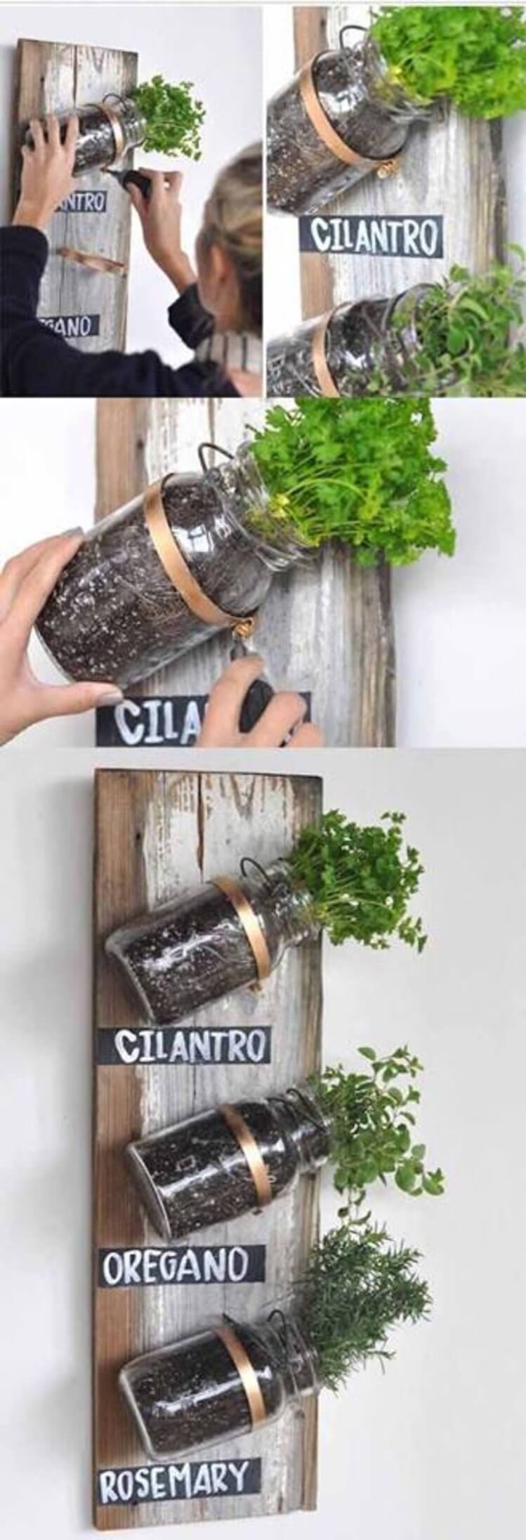 Mounted Mason Jars on Wood Panel Herb Garden