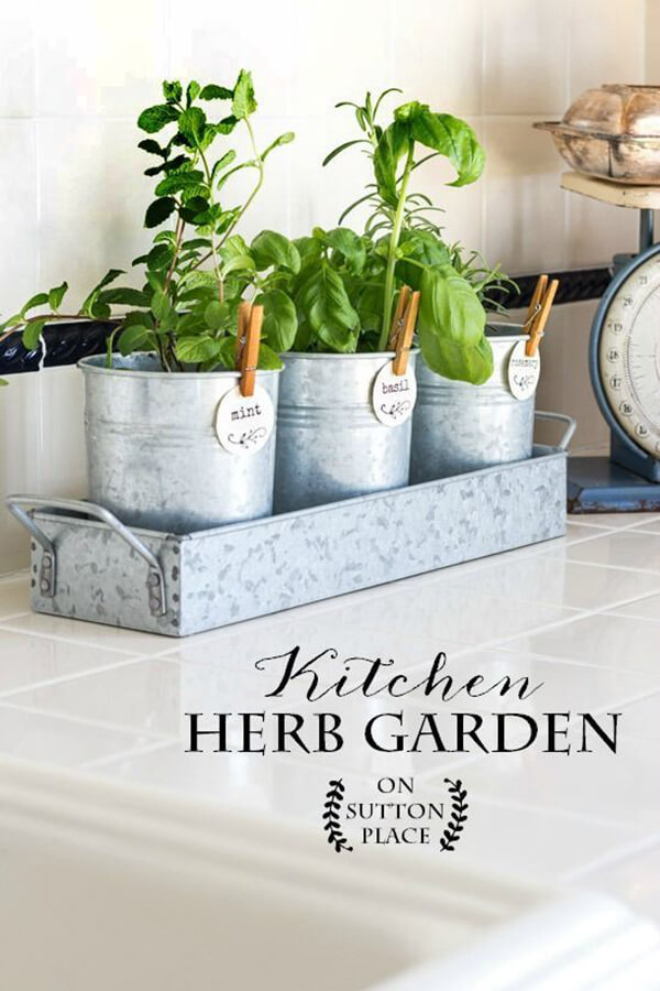 Pretty Little Pails Herb Garden