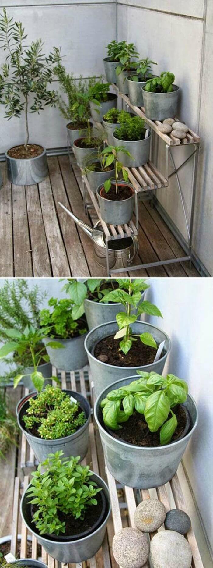 cool herb garden designs