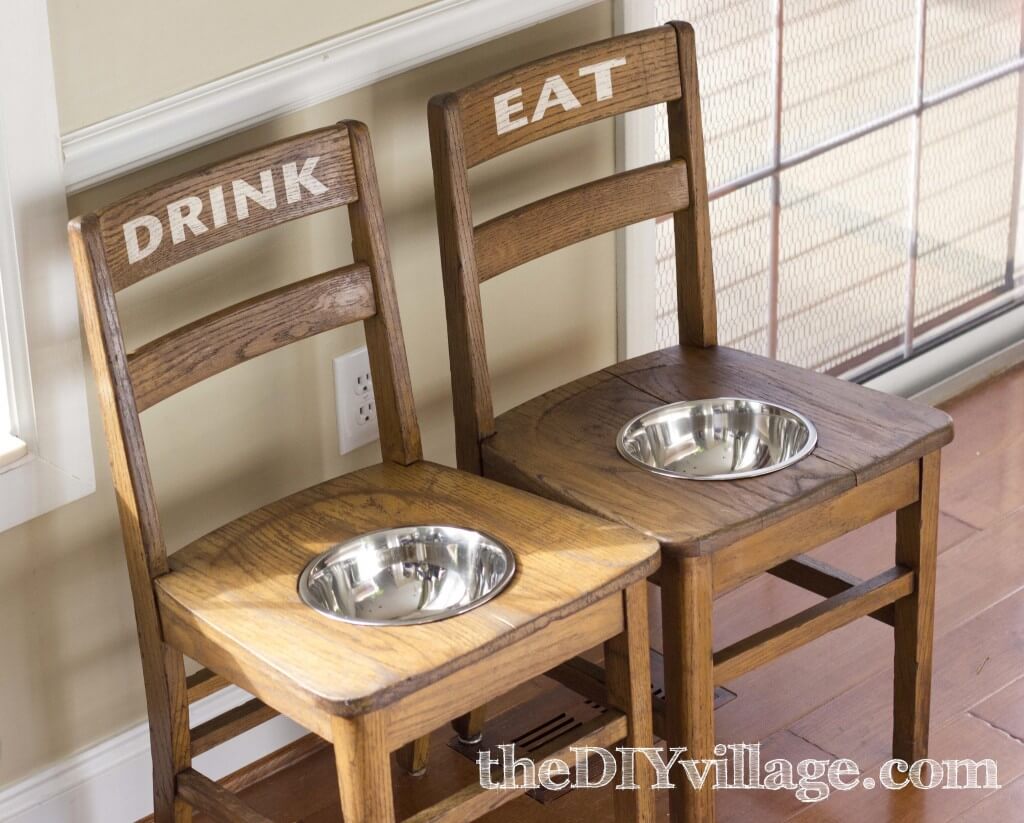 A Dining Center for Larger Dogs to Enjoy