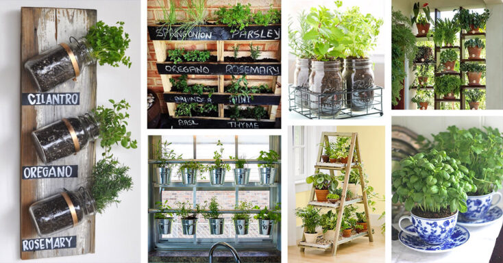 Featured image for 25+ Creative Herb Garden Ideas for Indoors and Outdoors