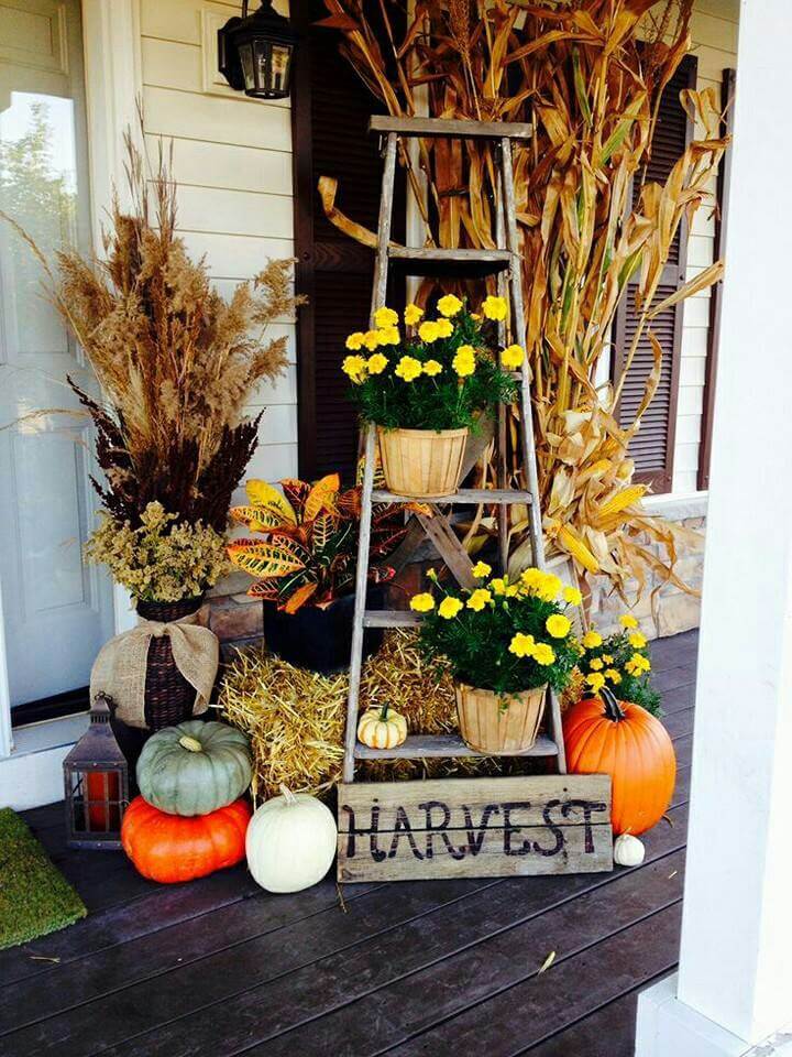 Autumn Plant Ladder Porch Display