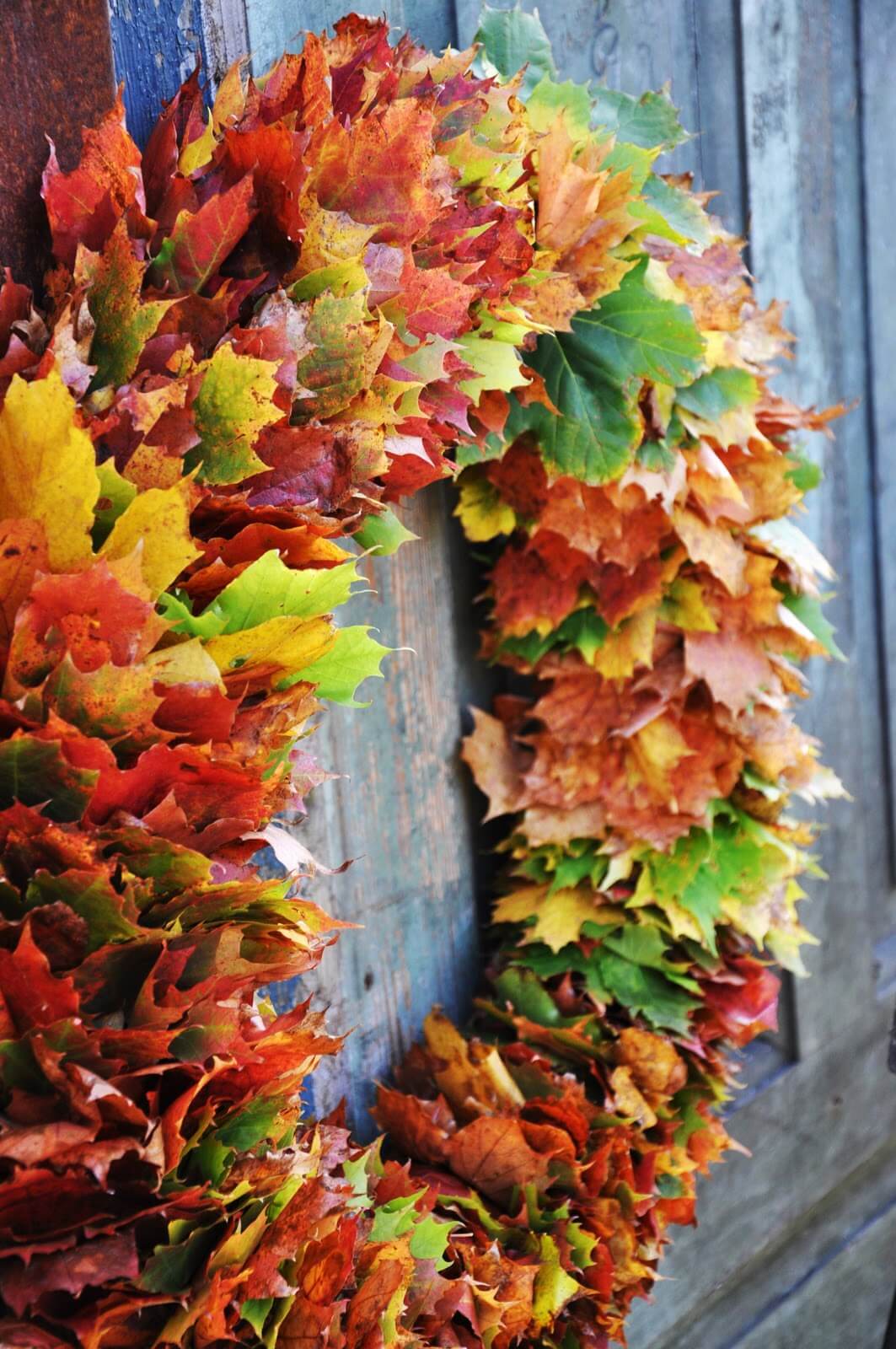 Showy Fall Leaves Front Door Wreath