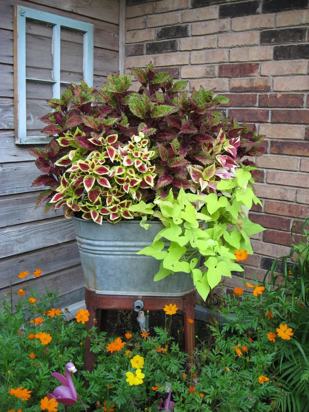 Vintage Galvanized Wash Tub Garden