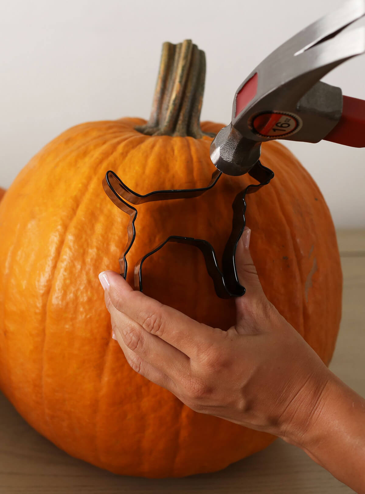 Simple Unique Pumpkin Carving Ideas