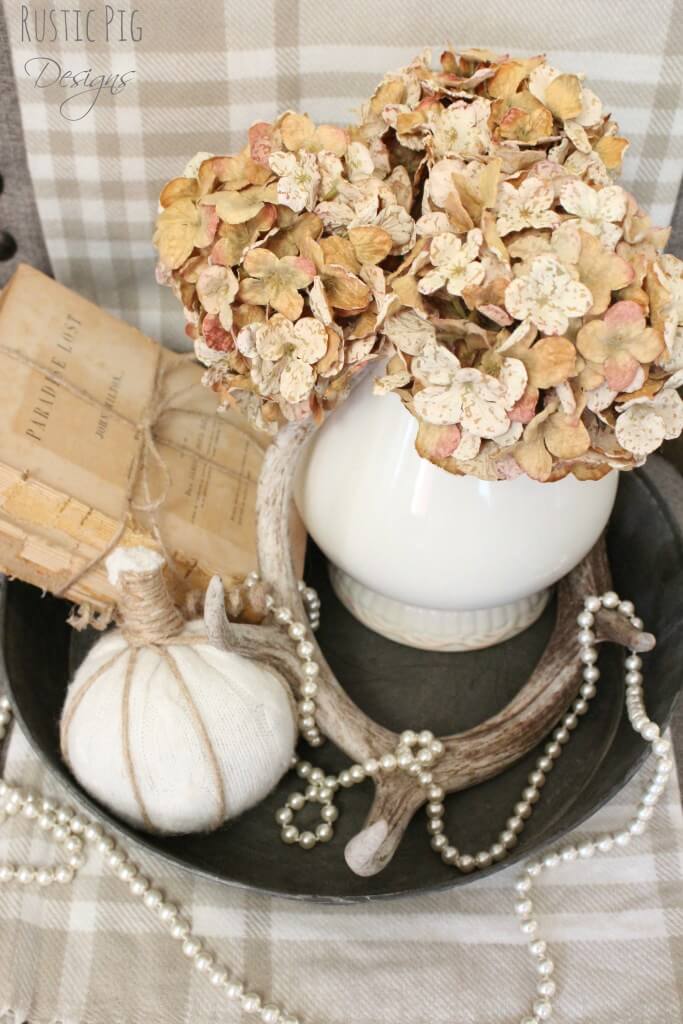 Dry Summer’s Hydrangeas for Fabulous Fall Decoration