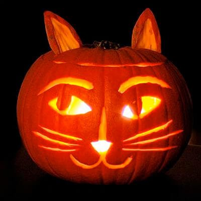 easy cat pumpkin carving ideas