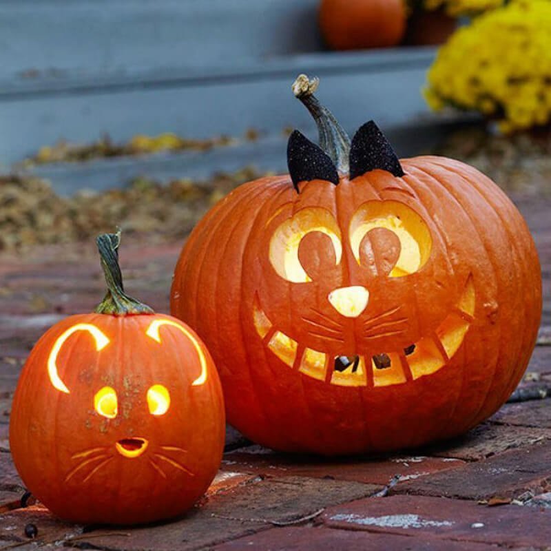 pretty pumpkin carving patterns