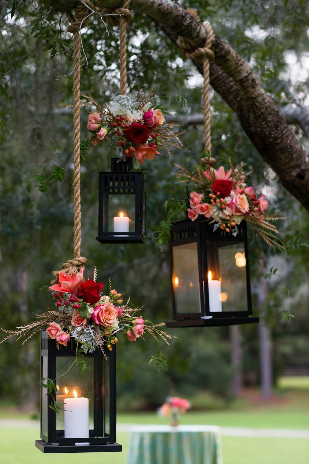 Lit Roses on the Ropes Lantern