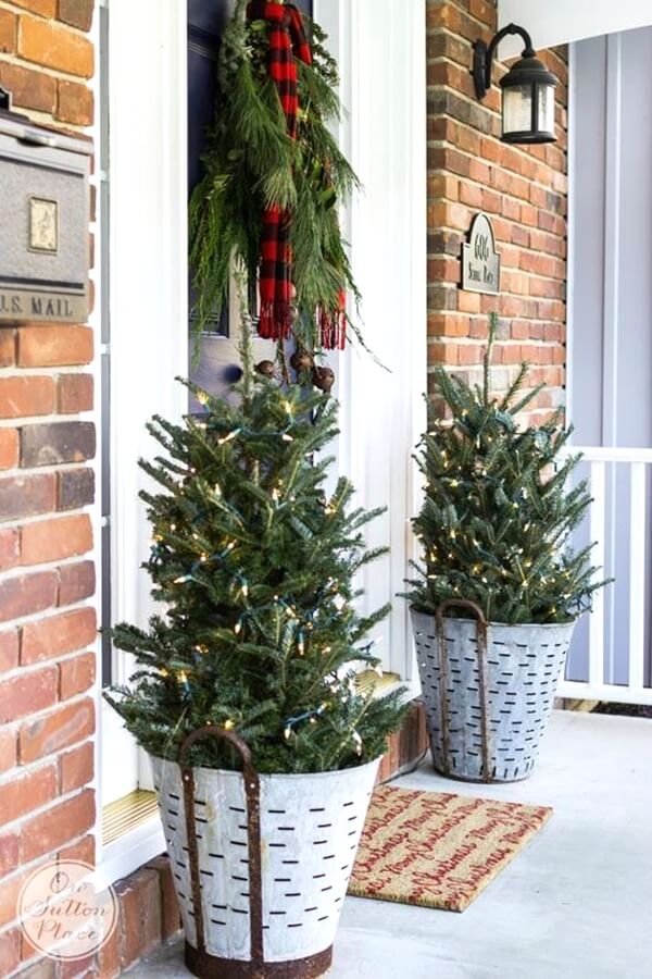 Festive Pine Tree Porch Planters