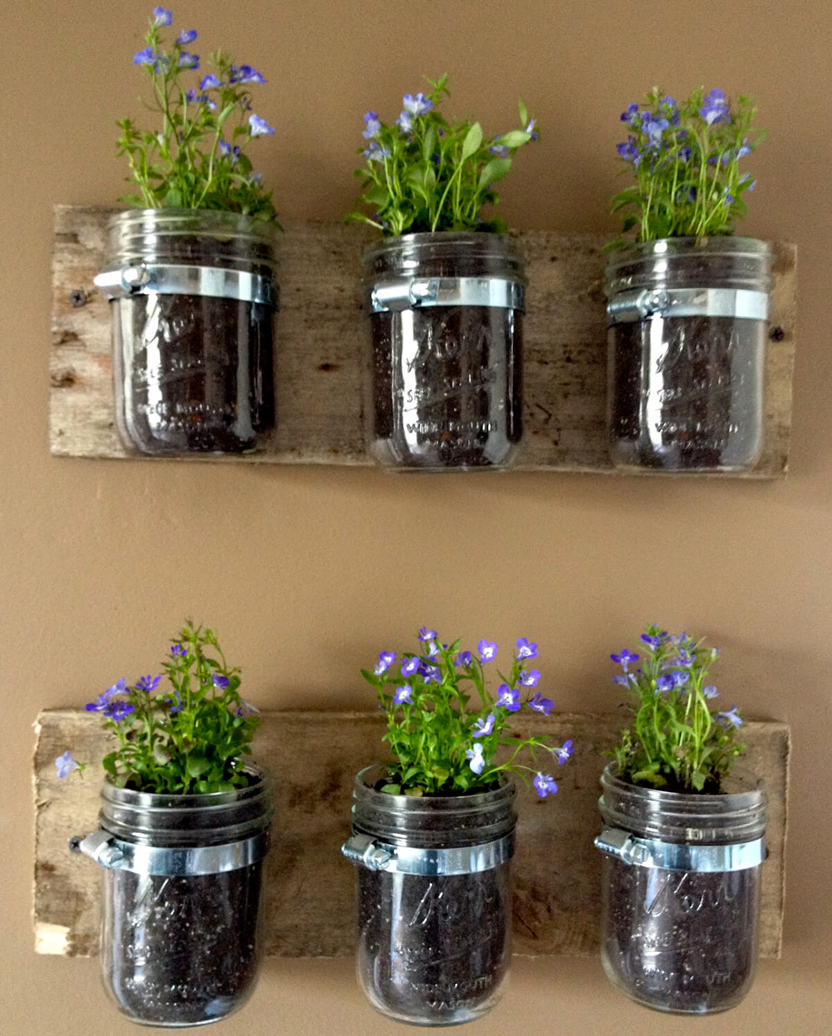 Mason Jar Six-Planter Earthy Wall Set