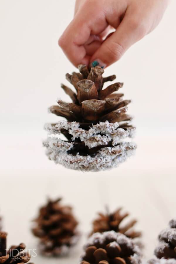 Pinecones Dipped In White Glitter