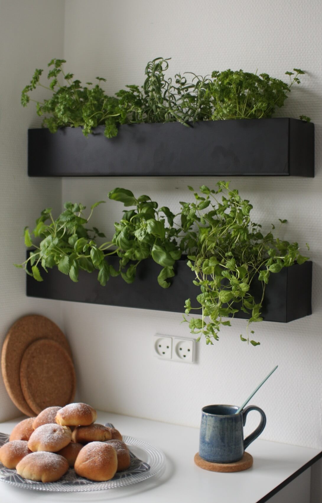 Indoor Planter Box Herb Garden